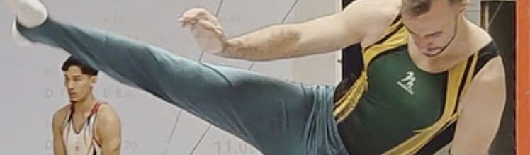 Pascal Pauschenpferd 2